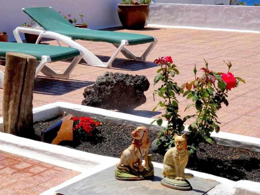 Casa Descanso Con Jacuzzi En Плая-Кемада Екстер'єр фото